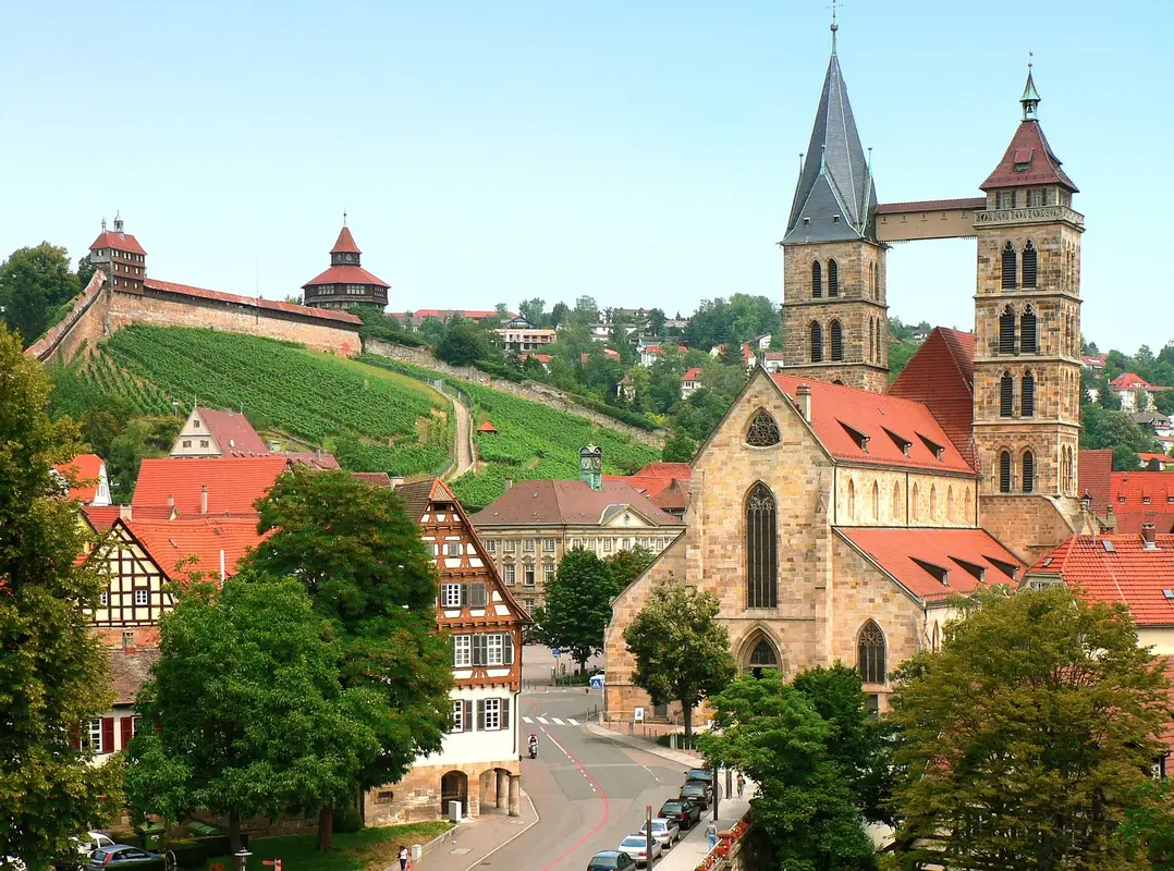 Esslinger Altstadt mit Burg und Weinbergen